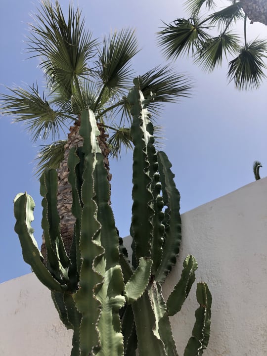 Sonstiges Grand Hotel Holiday Resort