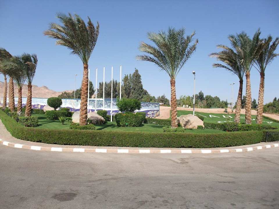 Vor dem Hotel JAZ Dahabeya