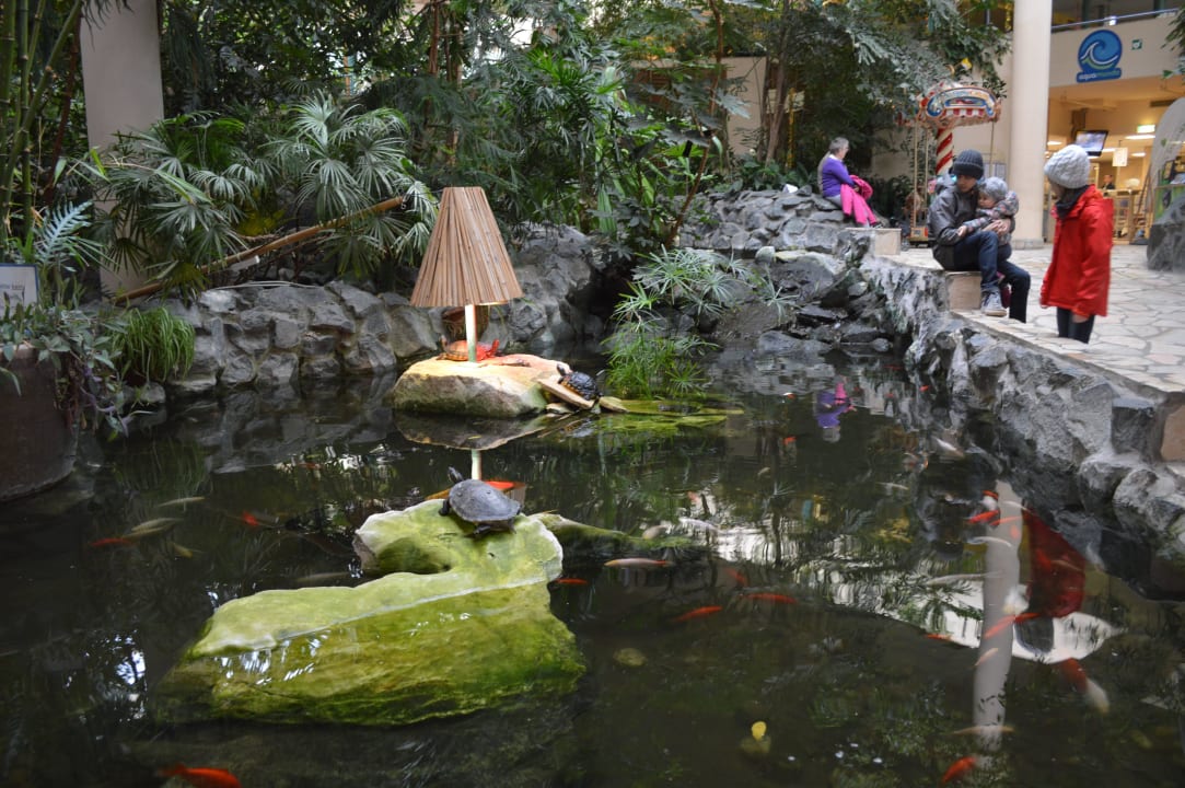 Eingang Center Parcs Park Hochsauerland