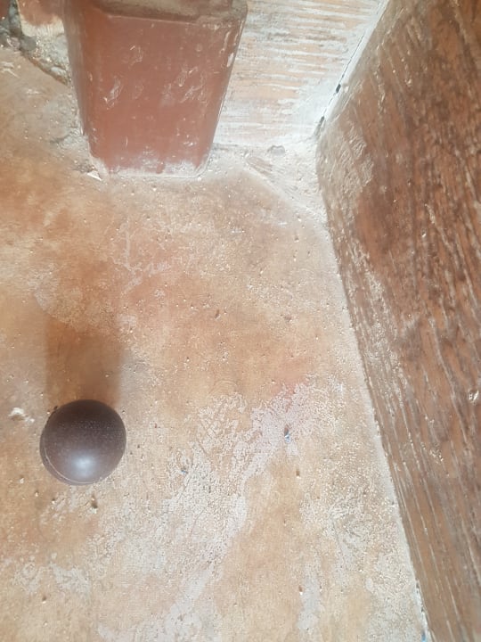 Zimmer Pickalbatros Citadel Resort