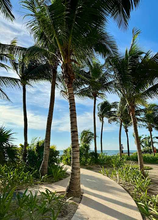 Außenansicht Akumal Bay Beach & Wellness Resort