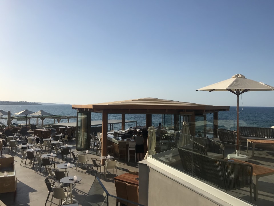 Gastro Cactus Mare - Adults only