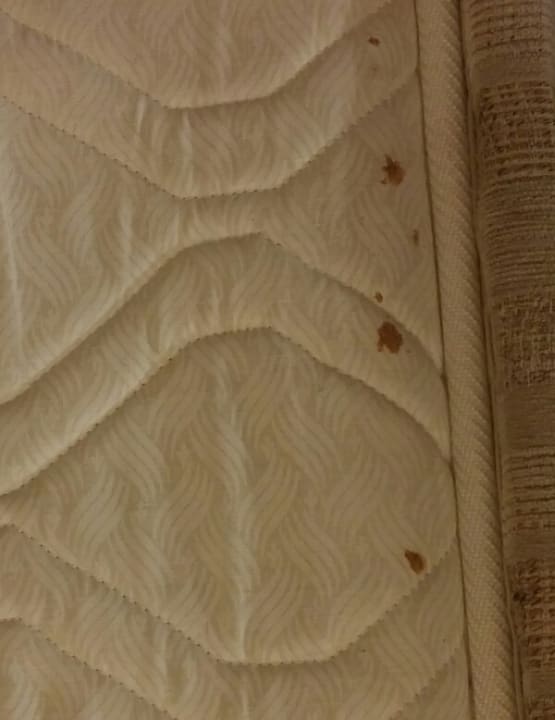 Zimmer Atlantica Mikri Poli Crete