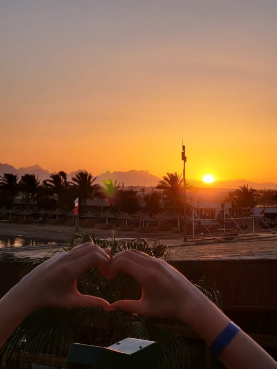 Ausblick Desert Rose