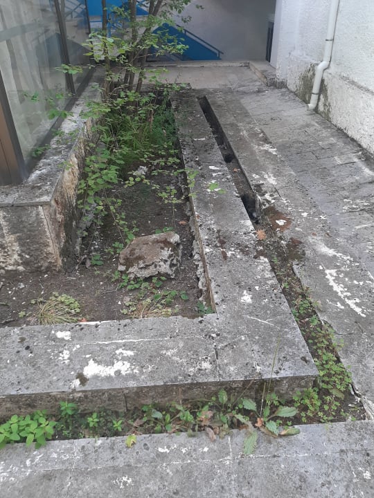 Außenansicht Hotel Forest Beach