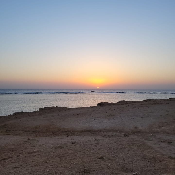 Strand Pickalbatros Palace Hotel-Port Ghalib