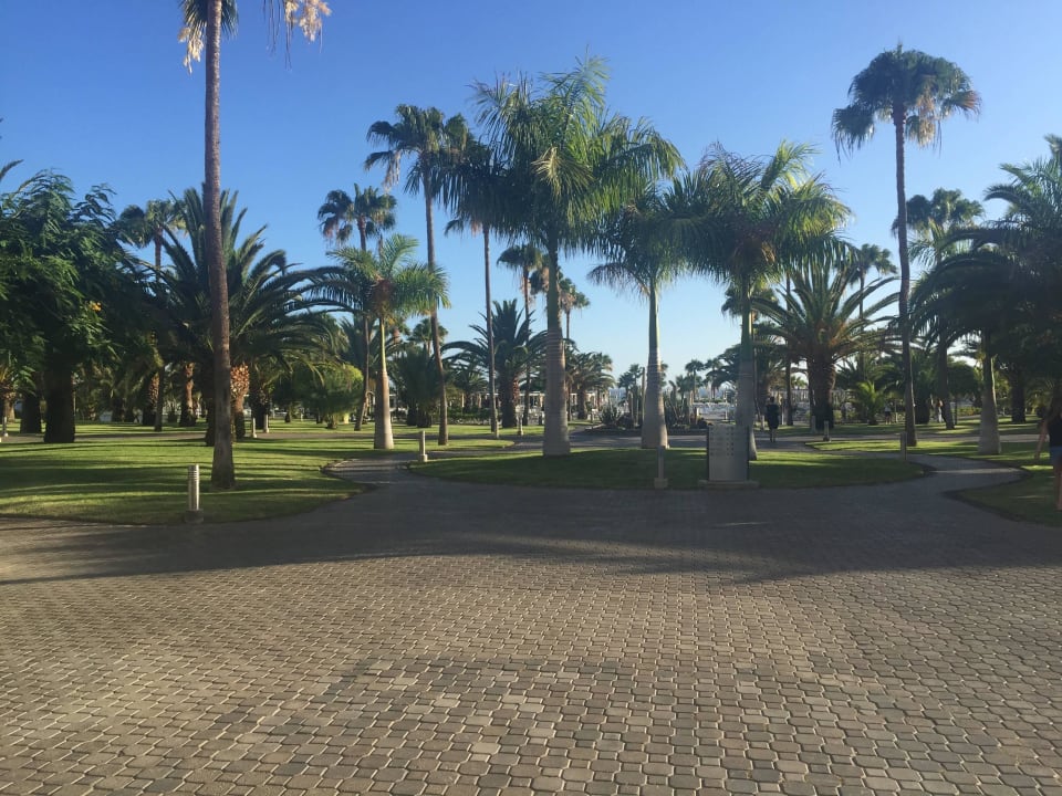 Ogród Hotel Riu Gran Canaria
