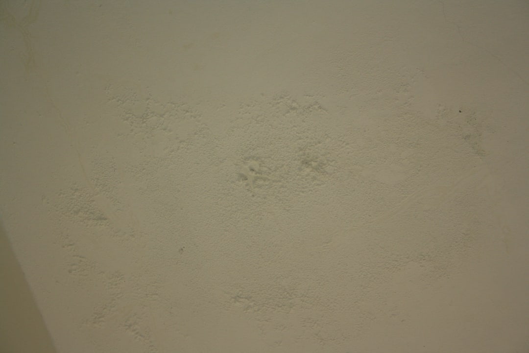 Schimmel Hotel Playa Chiquita