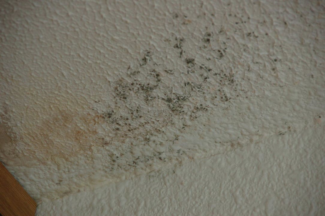 Schimmel an der Decke Hotel Vibra Beverly Playa