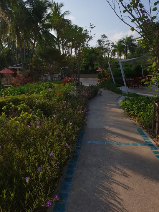 Gartenanlage Santiburi Koh Samui