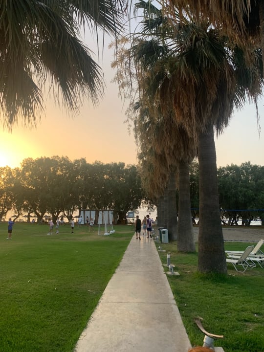 Sport & Freizeit TUI KIDS CLUB Alex Beach