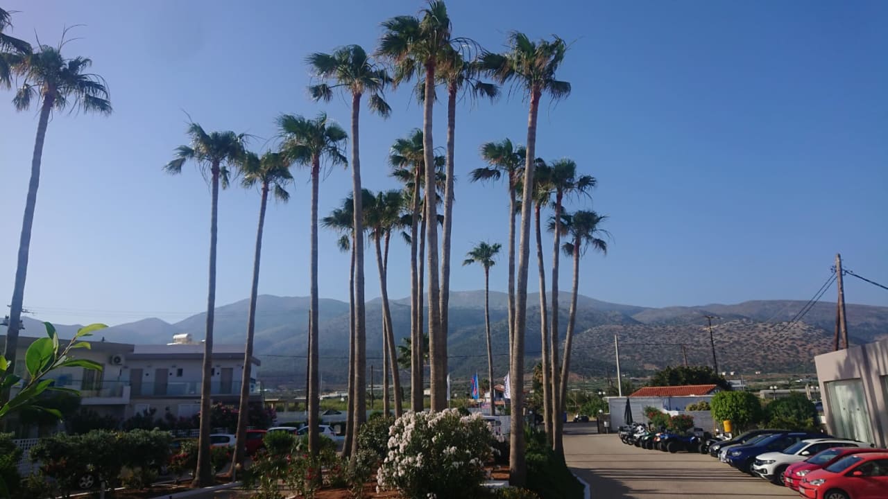 Sonstiges allsun Hotel Carolina Mare