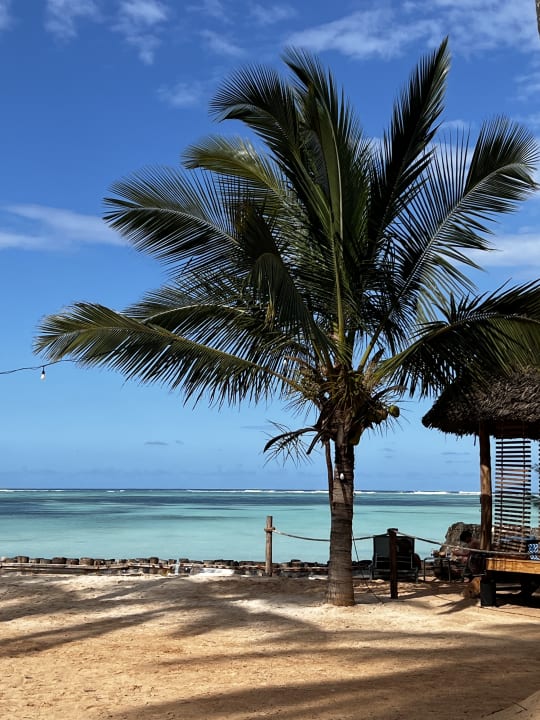 Strand TUI Blue Bahari Zanzibar