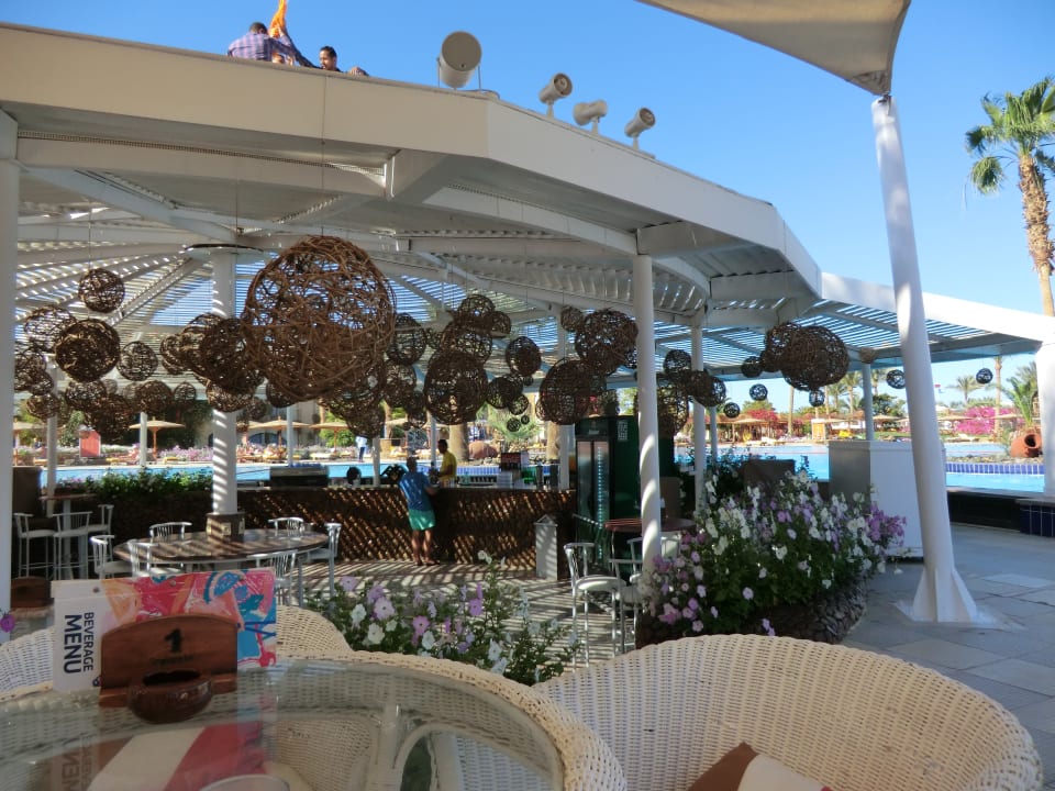 Die Bar am Pool Desert Rose