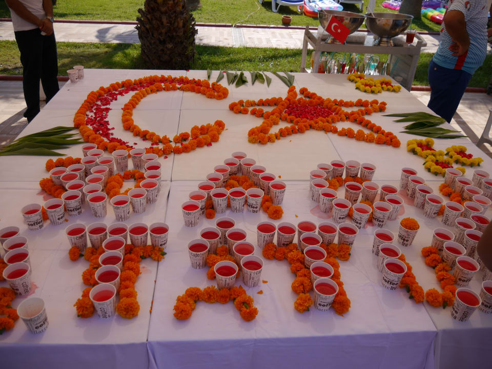 Gastro Sultan of Dreams Hotel & Spa