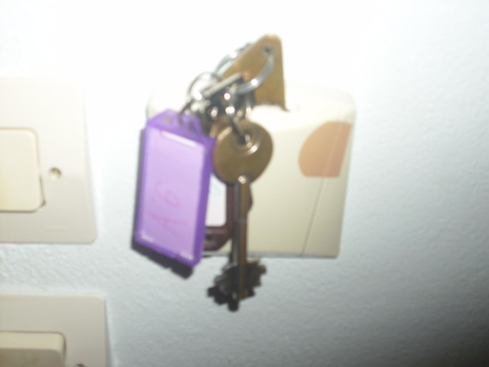 Defekter Lichthaupteinschalter  Harmony