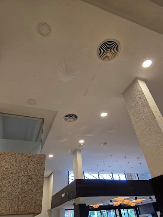 Lobby blau punta reina