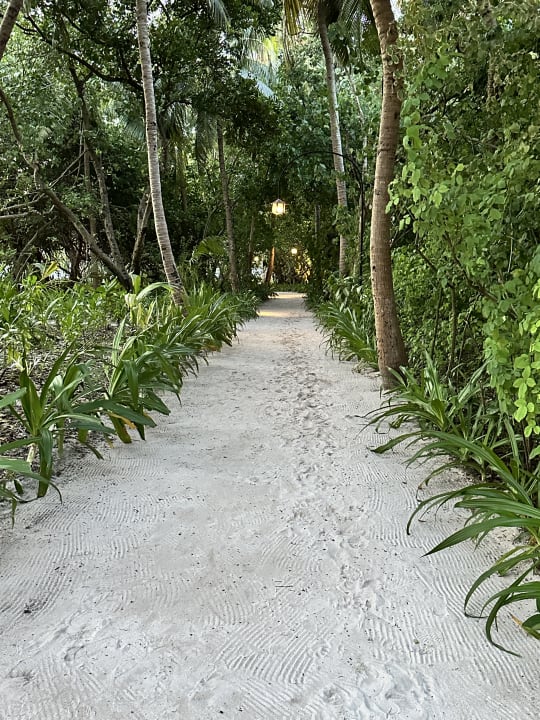 Gartenanlage Reethi Beach Resort