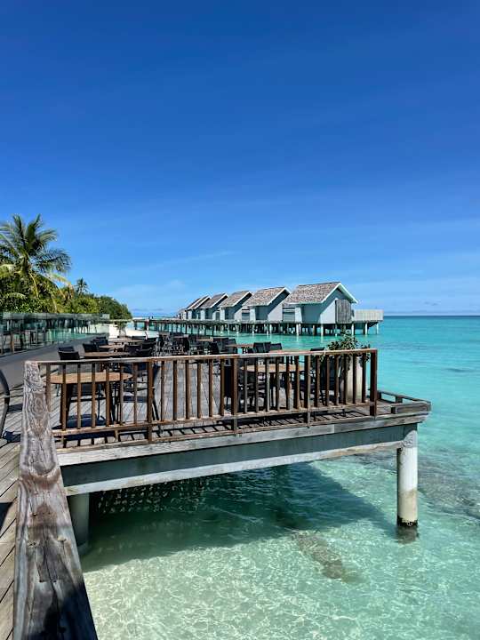 Gastro Kuramathi Maldives