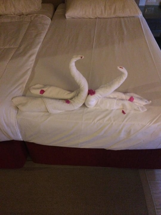 Figur  Jaz Makadi Oasis Resort