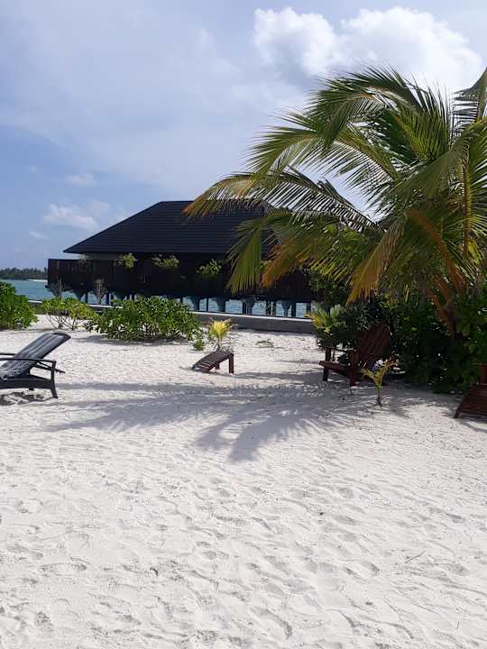 Strand Summer Island Maldives