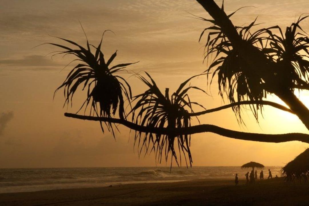 Sundowner Hotel Koggala Beach