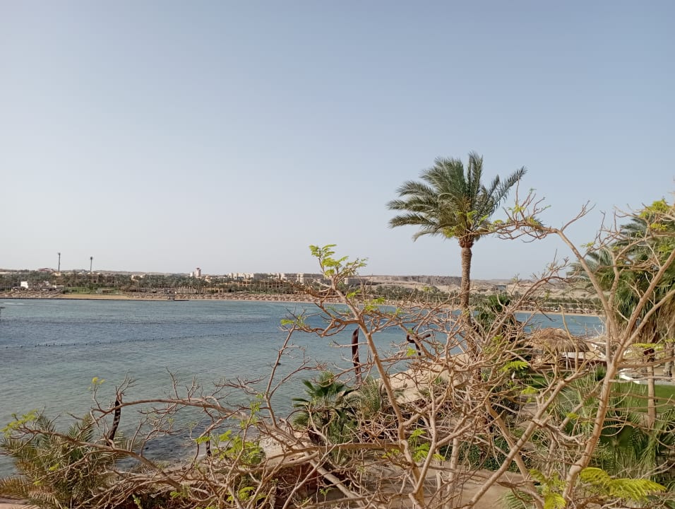 Ausblick Steigenberger Coraya Beach - Adults only