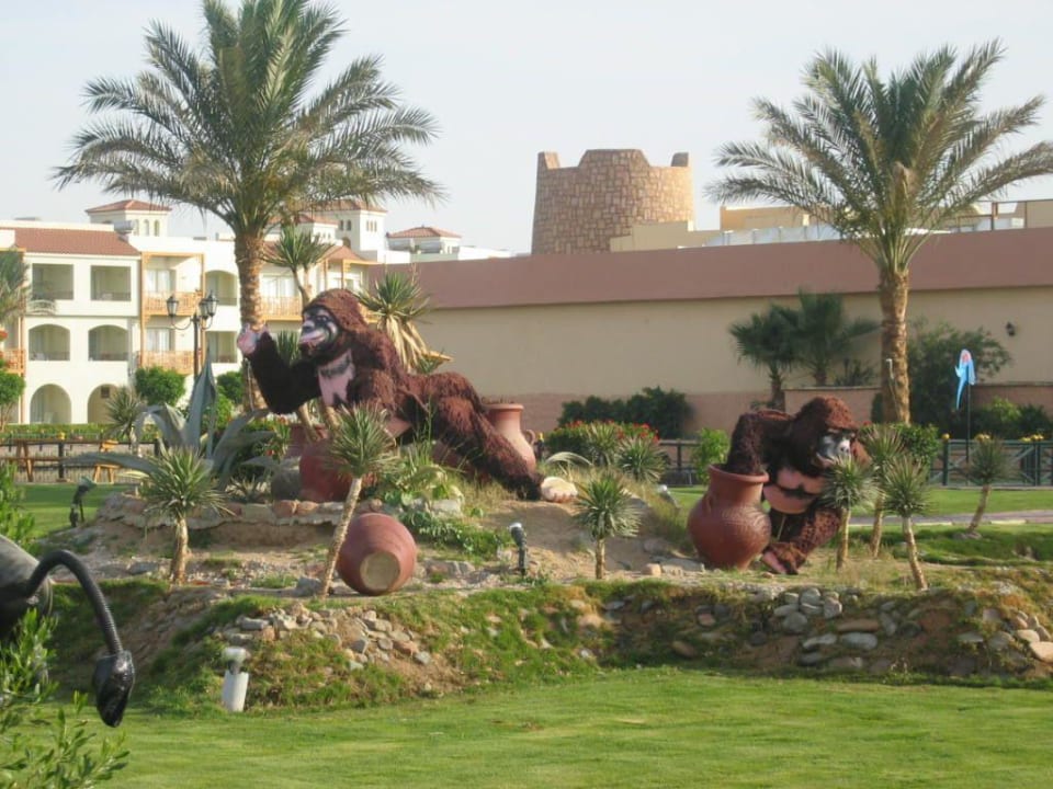 Die Affen sind los Pickalbatros Dana Beach Resort - Hurghada