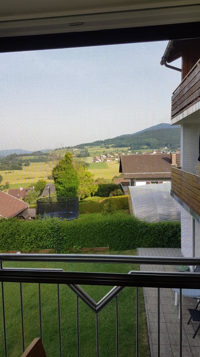 Ausblick Gäste- & Appartmenthaus Weber