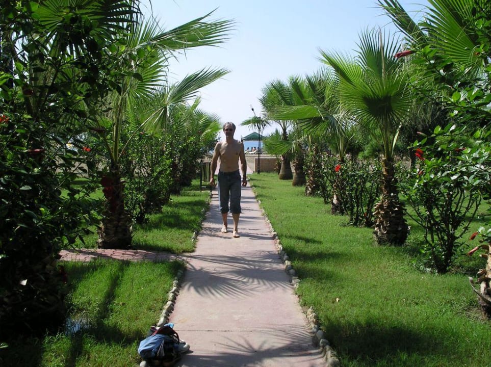 Grüner Bereich Hotel Royal Garden Beach