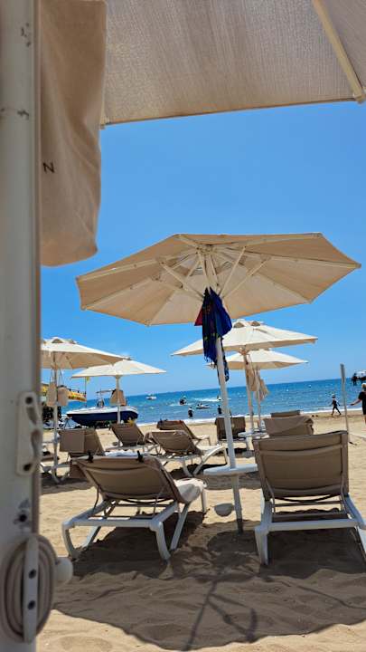 Strand Arum Barut Collection