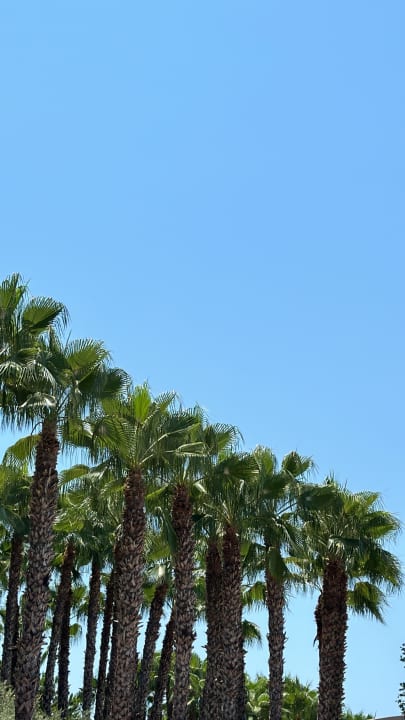 Gartenanlage Miramare Queen Hotel