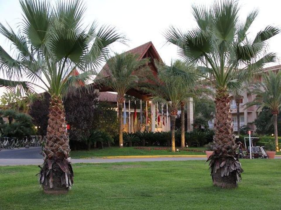 Hotel von außen VIVA Blue & Spa