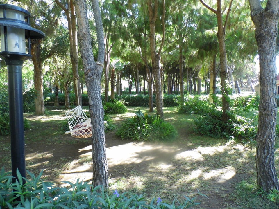 Gartenanlage Club Turtas Beach Hotel