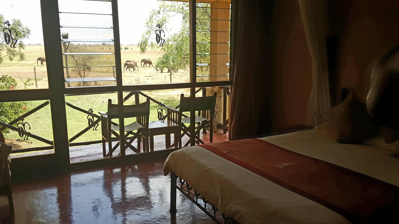 Aus dem Zimmer Blick auf Elefanten Ashnil Aruba Lodge