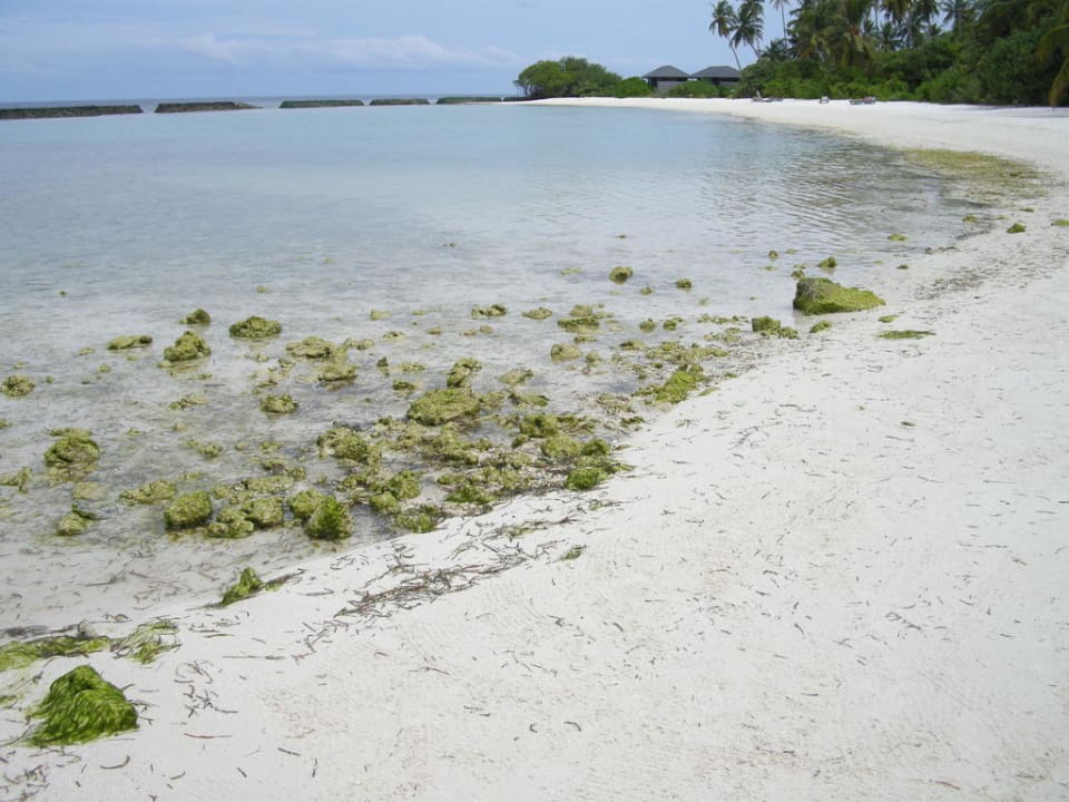 Nordseite Strand B.Bungalow Kuredu Kuredu Island Resort & Spa