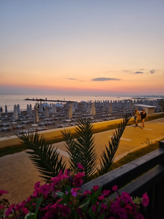 Strand PALOMA Perissia