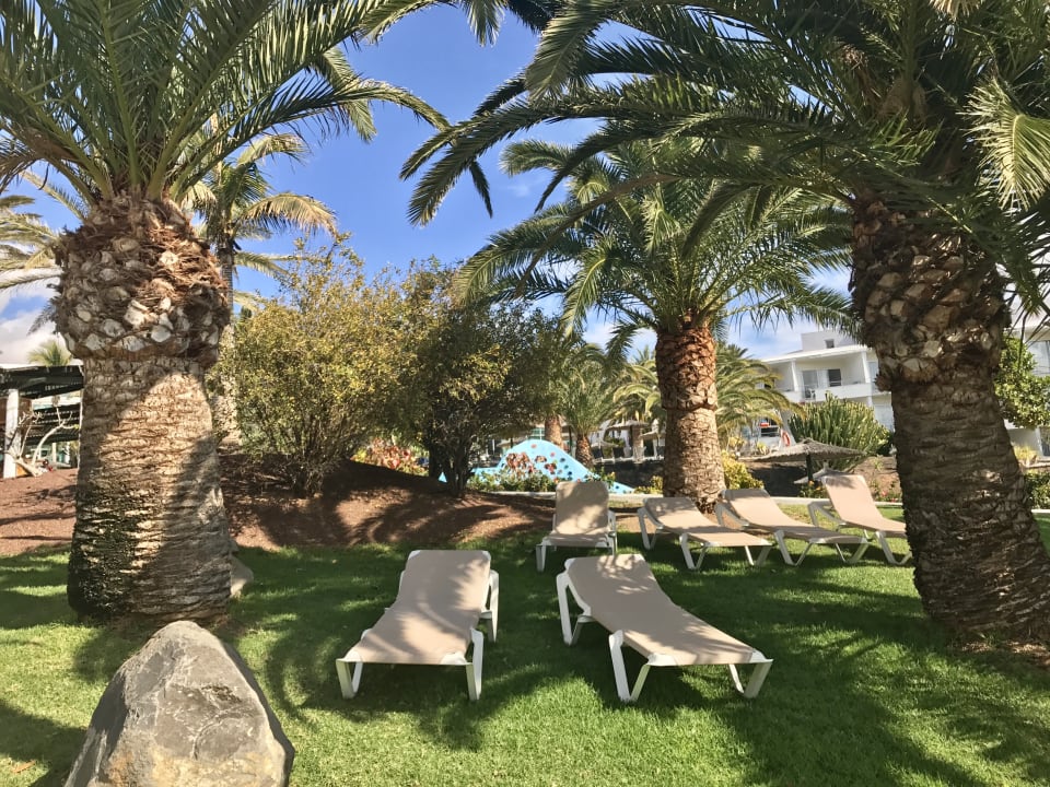 Gartenanlage allsun App.-Hotel Esquinzo Beach