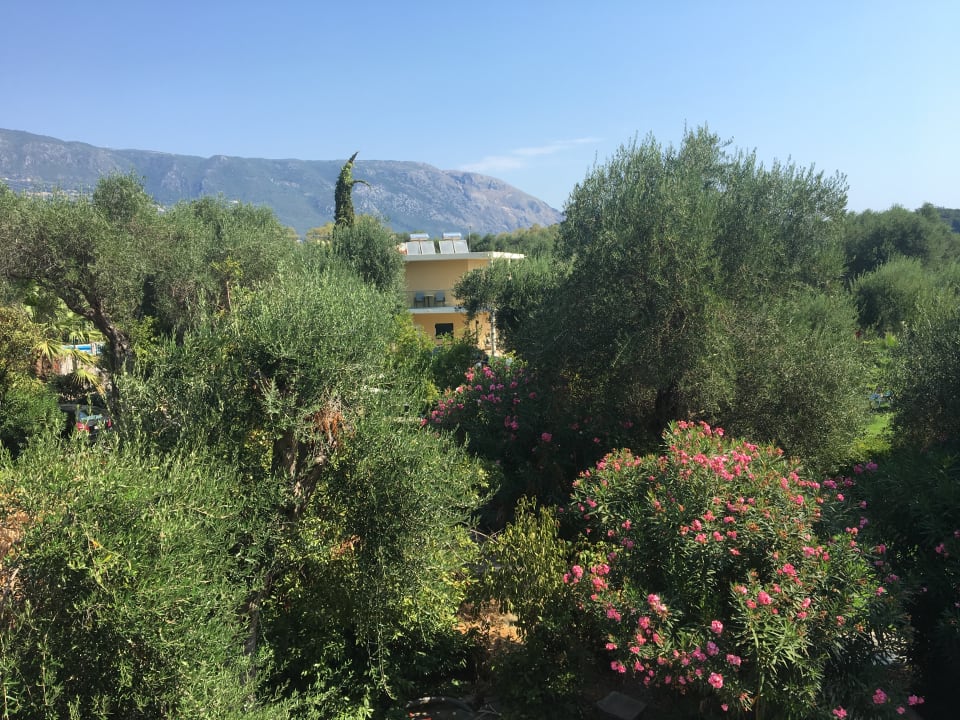 Gartenanlage Elea Beach Hotel