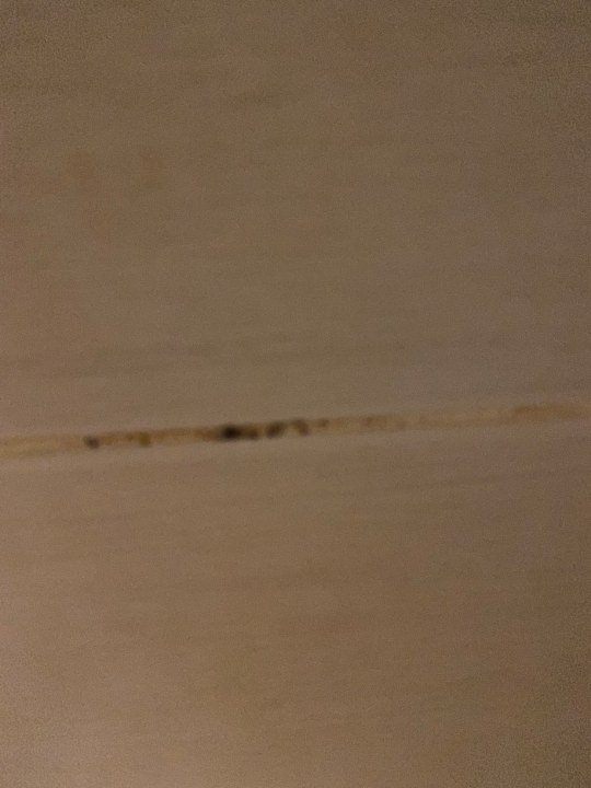 Zimmer Royal Star Beach Resort