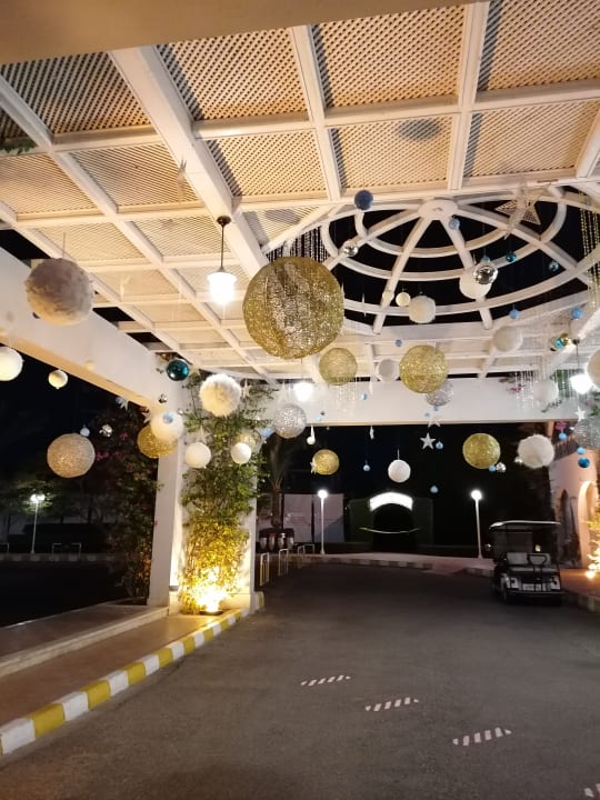 Ausblick Desert Rose