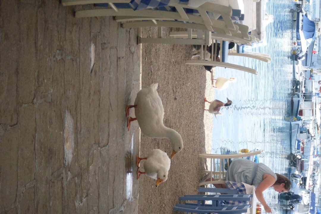 Ausflug nach Nea Marmaras Hotel Lagomandra Beach