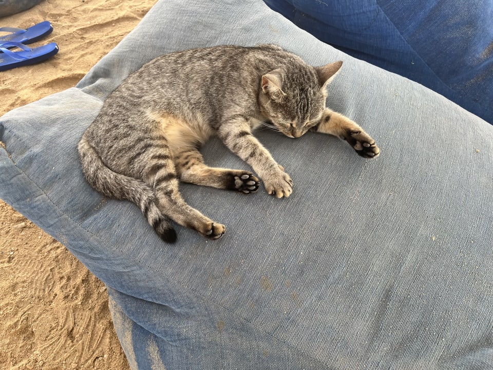 Sonstiges Pickalbatros Alf Leila Wa Leila Resort - Neverland Hurghada