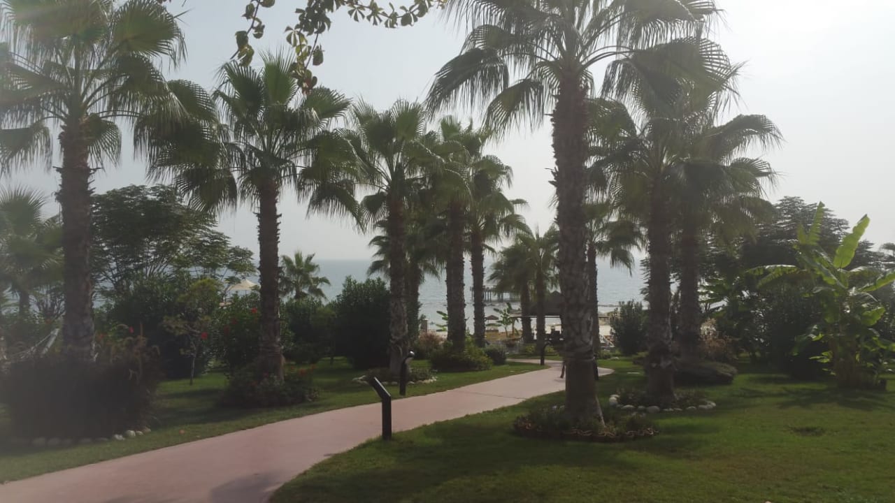 Gartenanlage Hotel Turan Prince