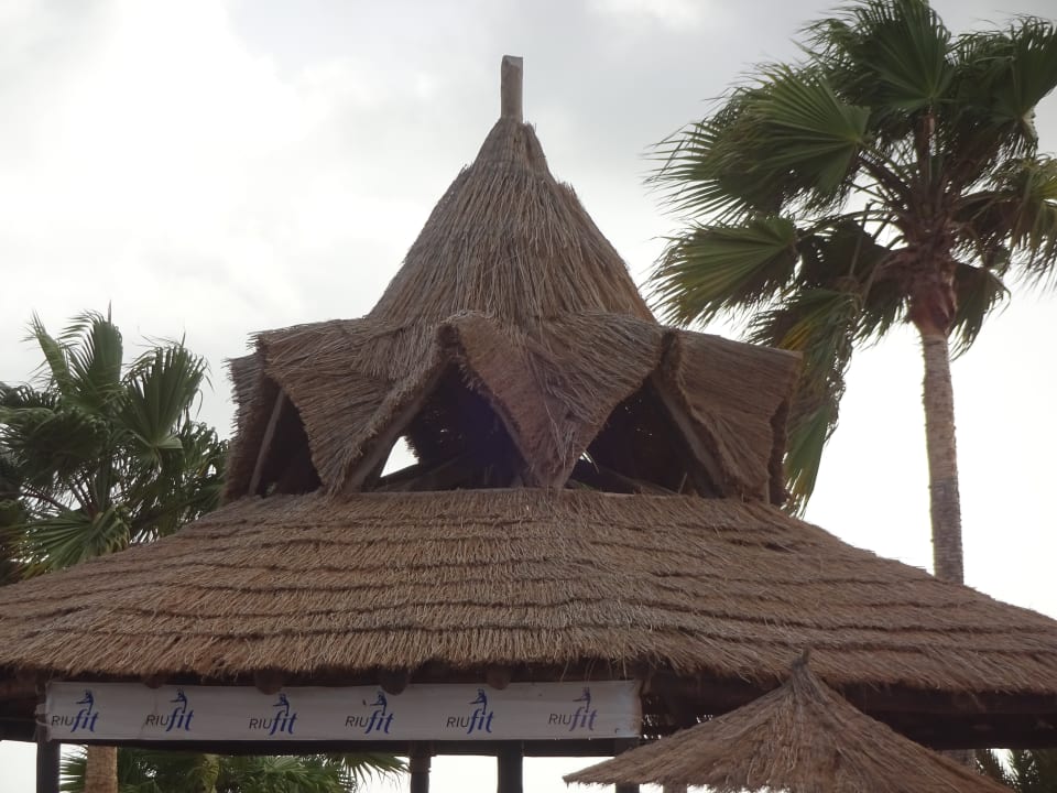Gartenanlage Hotel Riu Karamboa