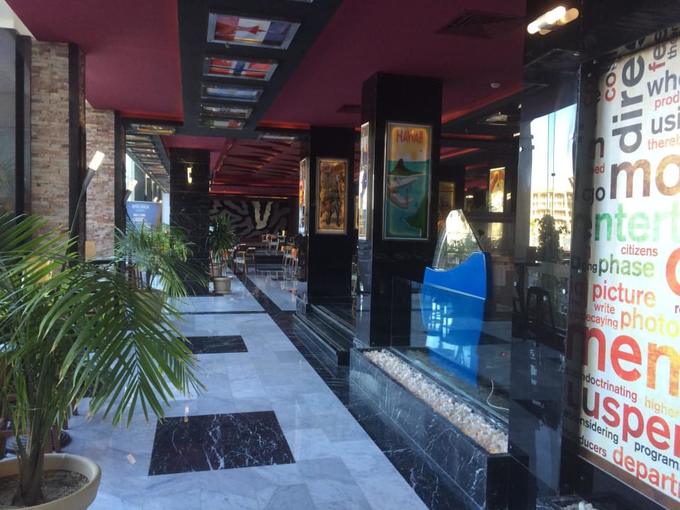 Wow Bar Pickalbatros White Beach Resort - Hurghada