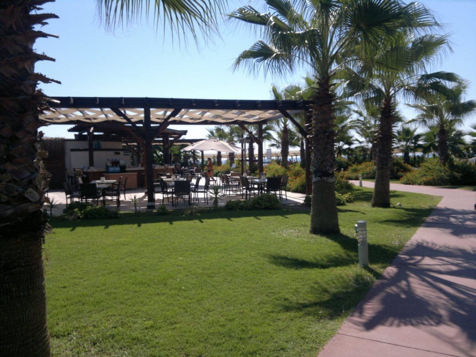 Die bar am Strand, sehr nettes Personal hier Saturn Palace Resort Hotel