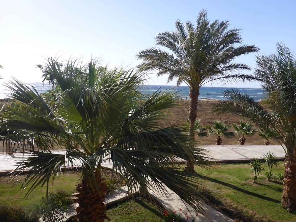 Blick vom Balkon  Shams Alam Beach Resort