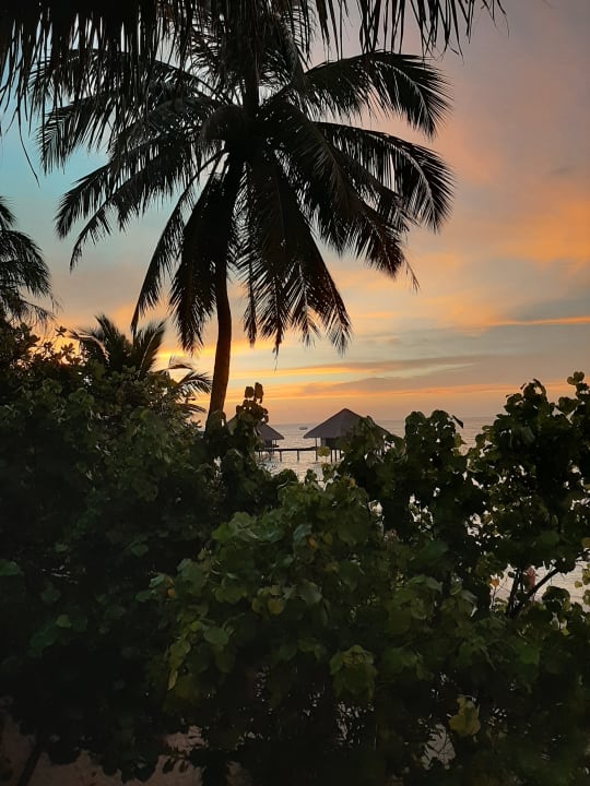 Zimmer Adaaran Club Rannalhi - All Inclusive