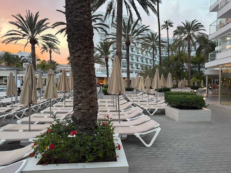 Pool Hotel Riu Papayas